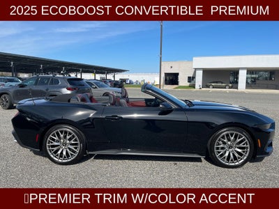 2025 Ford Mustang EcoBoost Premium Convertible Convertible