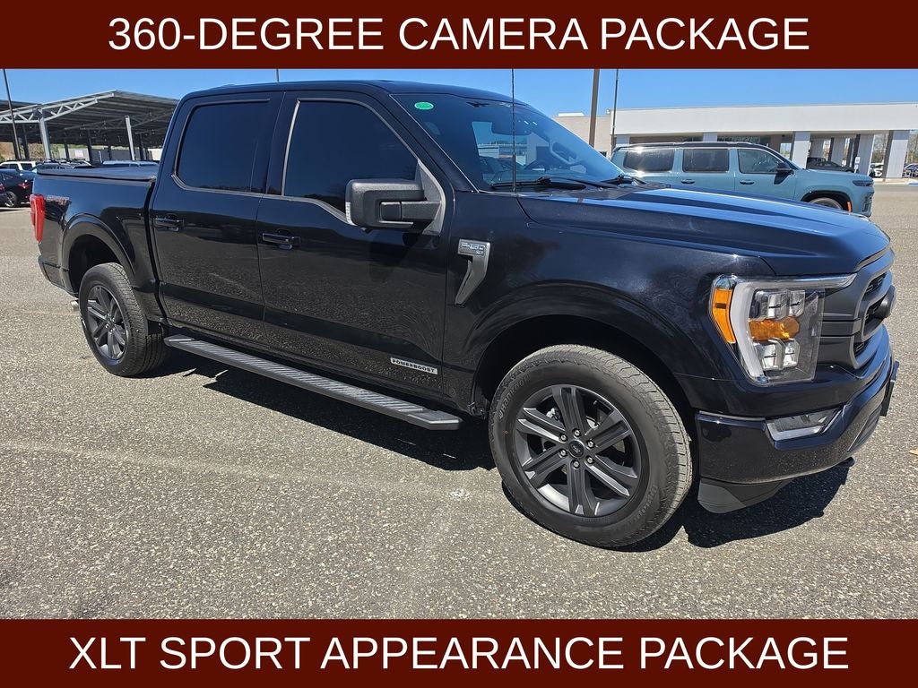 2023 Ford F-150 XLT